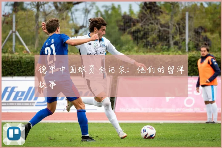 德甲中国球员全记录：他们的留洋故事