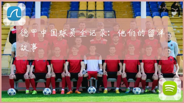 德甲中国球员全记录：他们的留洋故事